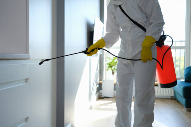 Best Local Mold Removal Service  in Chandler, IN