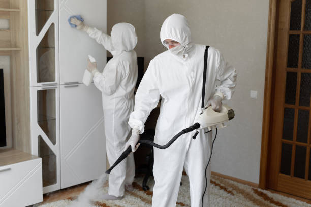 Best Toxic Mold Removal  in Chandler, IN