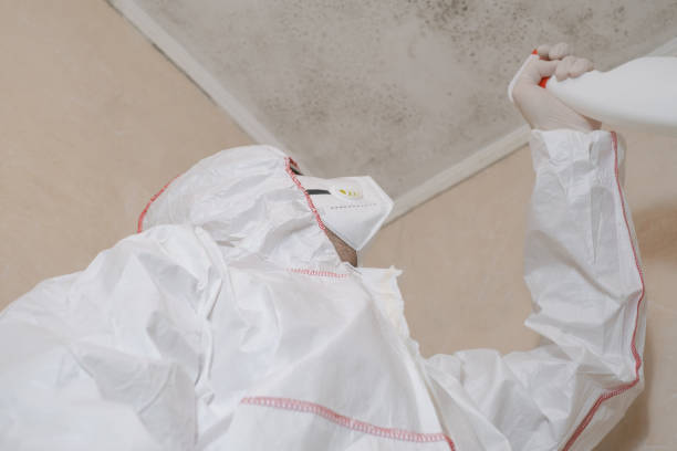 Best Certified Mold Removal  in Chandler, IN